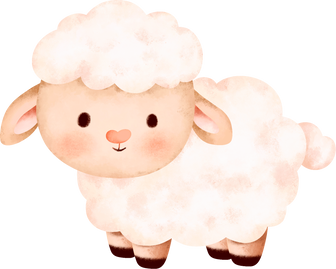 sheep